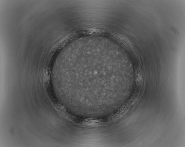 X0000113080607200909250951