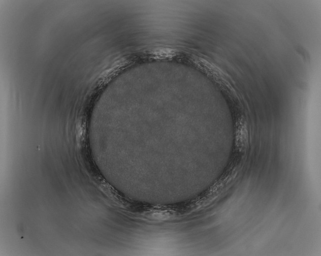 X0000113080608200909250951