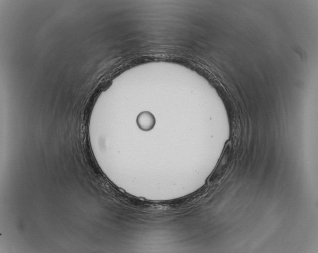 X0000113080609200909250951