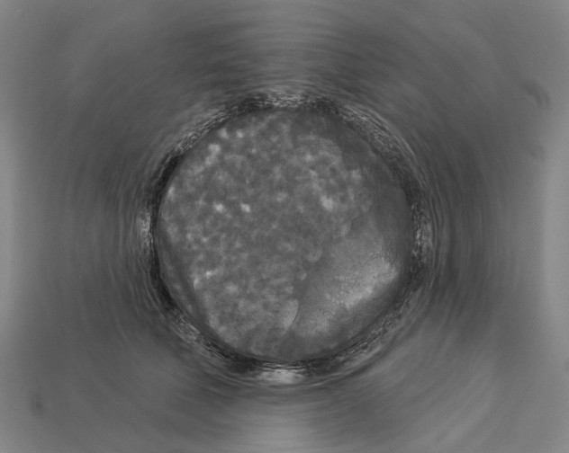 X0000113080610200909250951