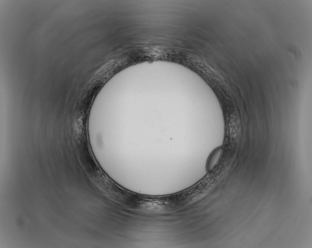 X0000113080611200909250951