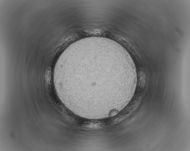 X0000113080612200909250951