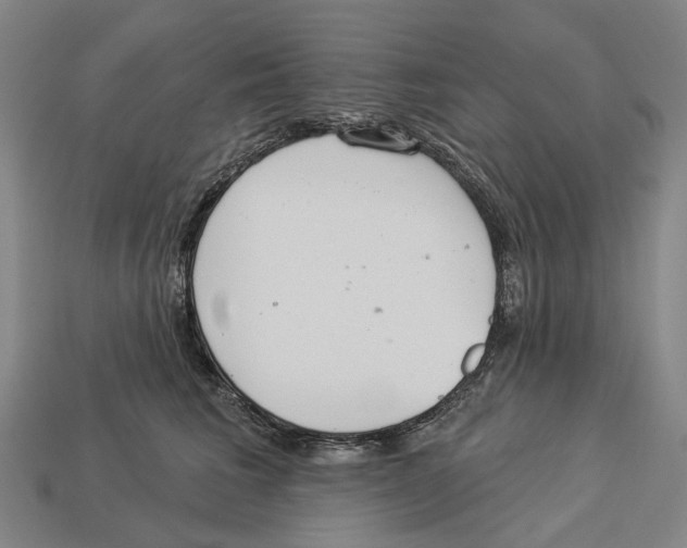 X0000113080613200909250951