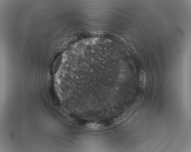 X0000113080614200909250951
