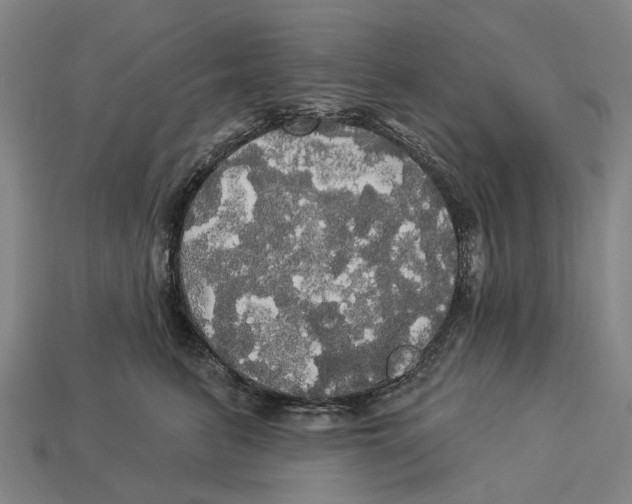 X0000113080615200909250951