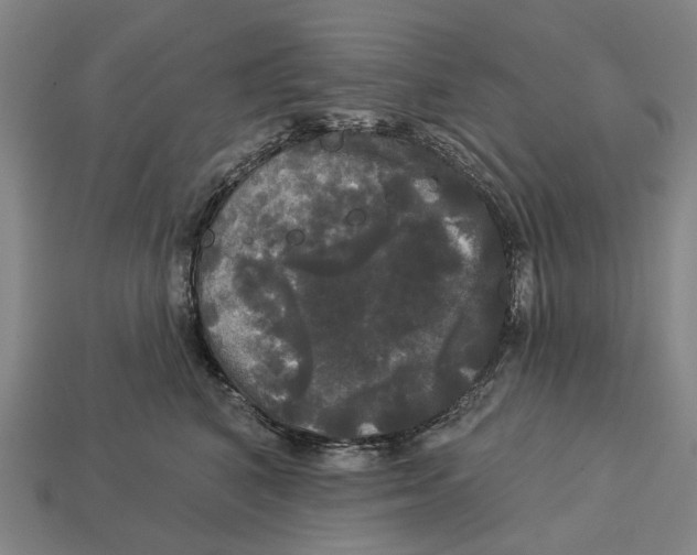 X0000113080616200909250951