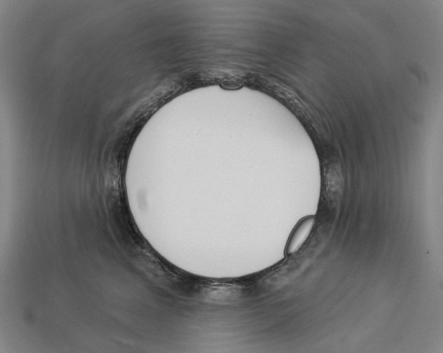 X0000113080617200909250951
