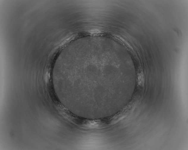 X0000113080618200909250951