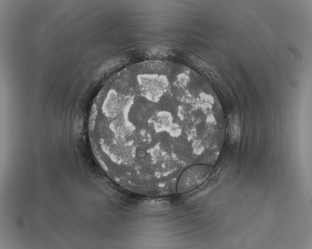 X0000113080619200909250951