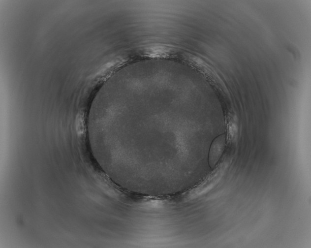 X0000113080620200909250951