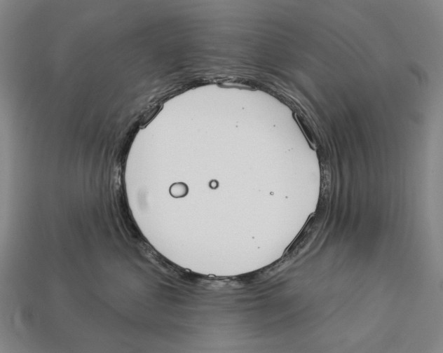 X0000113080621200909250951