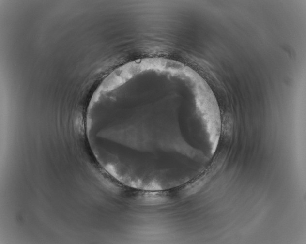 X0000113080622200909250951