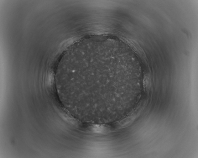 X0000113080623200909250951