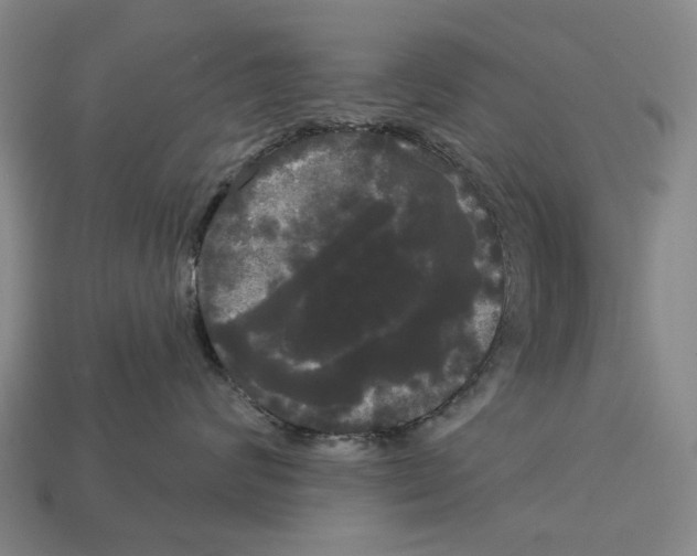 X0000113080624200909250950