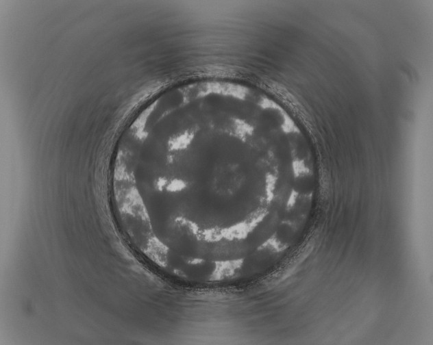 X0000113080625200909250950