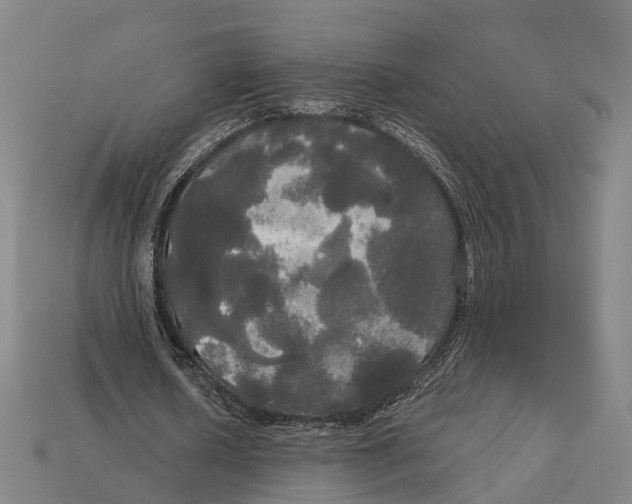 X0000113080626200909250950
