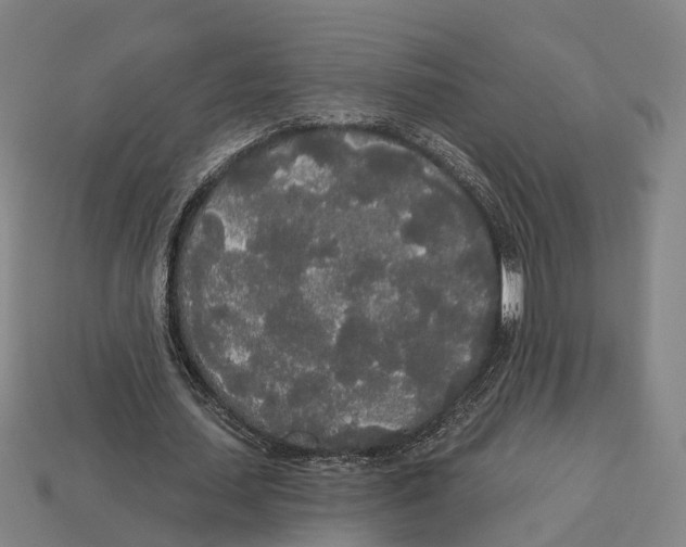 X0000113080627200909250950