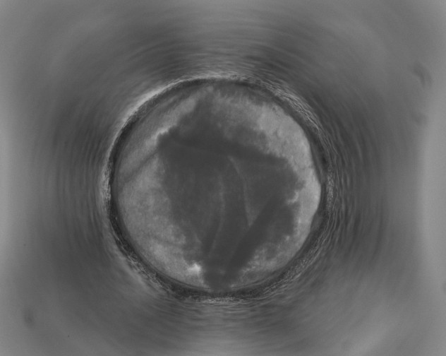 X0000113080628200909250950