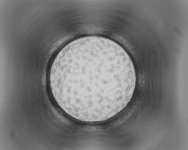 X0000113080629200909250950
