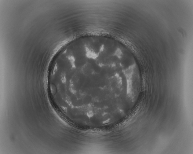 X0000113080630200909250950