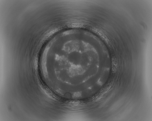 X0000113080631200909250950
