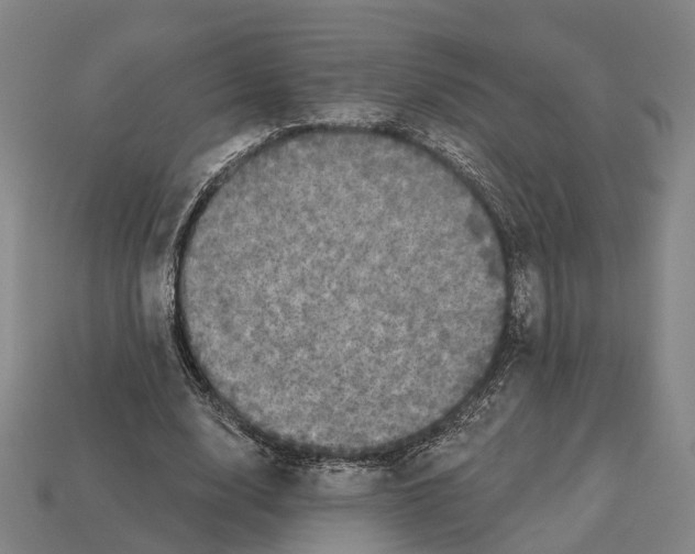 X0000113080632200909250950