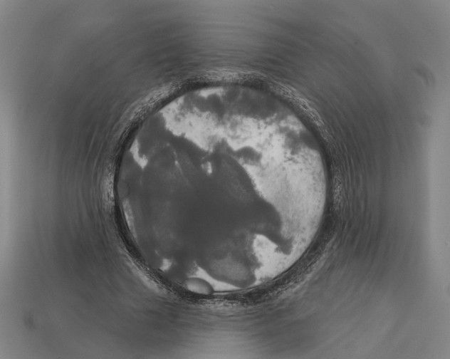 X0000113080633200909250950