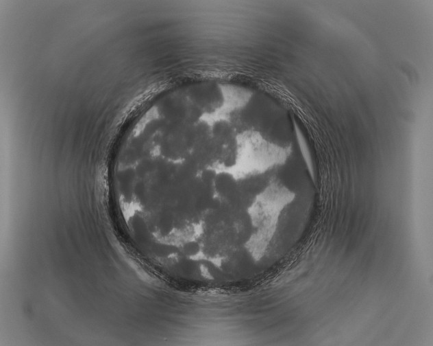 X0000113080634200909250950