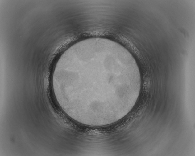 X0000113080635200909250950