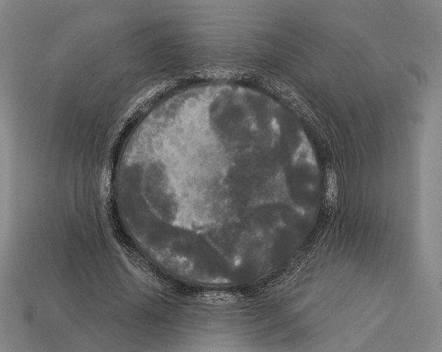X0000113080636200909250950