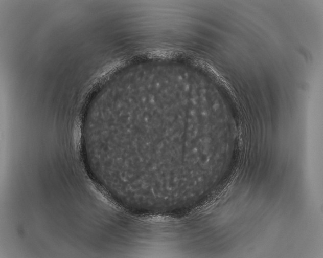 X0000113080637200909250950