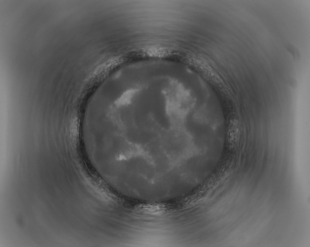 X0000113080639200909250950