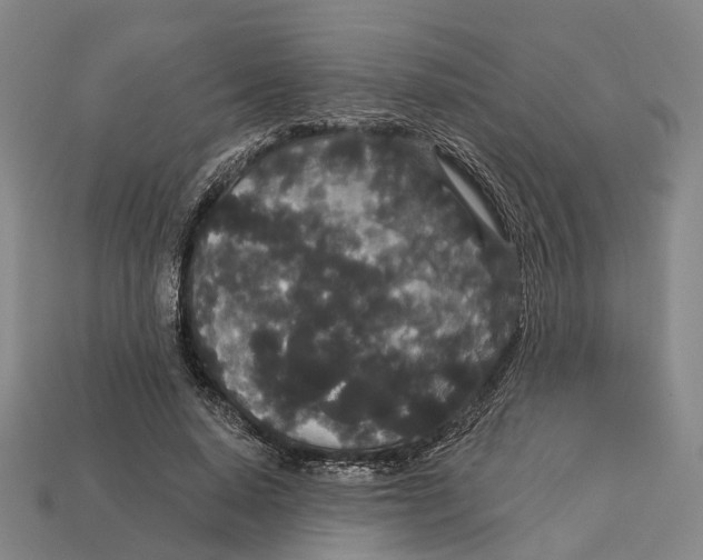 X0000113080640200909250950