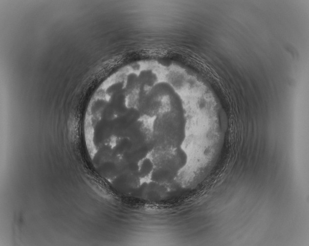 X0000113080641200909250950