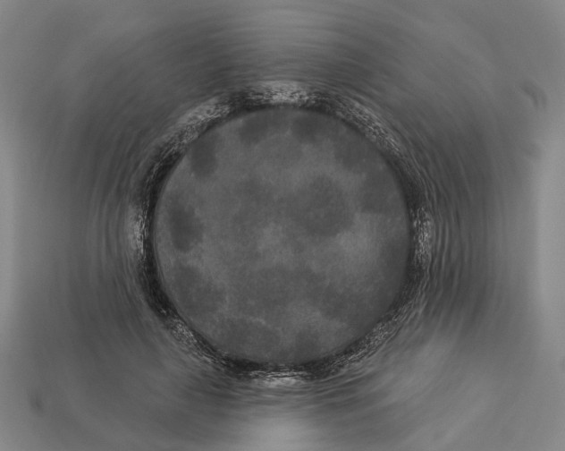 X0000113080643200909250950