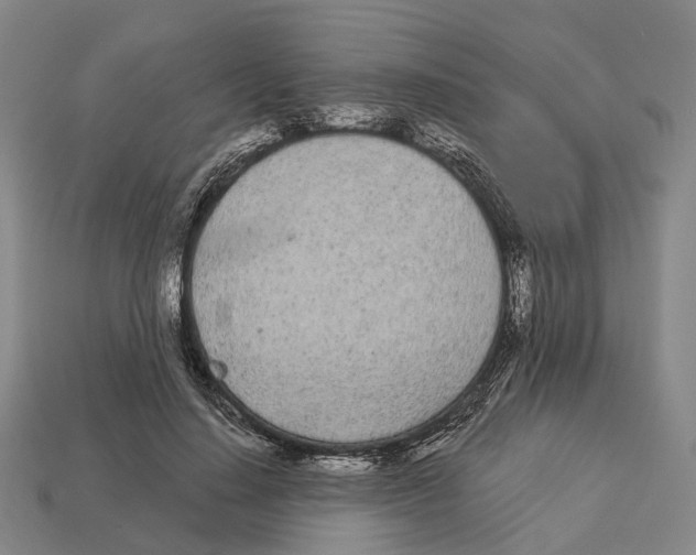 X0000113080644200909250950