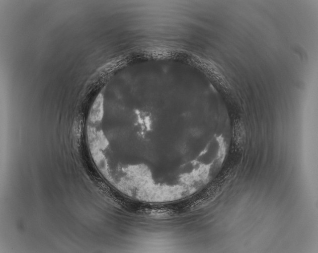 X0000113080645200909250950
