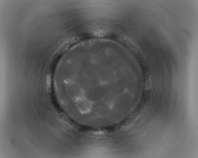 X0000113080646200909250950