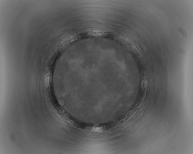 X0000113080647200909250950