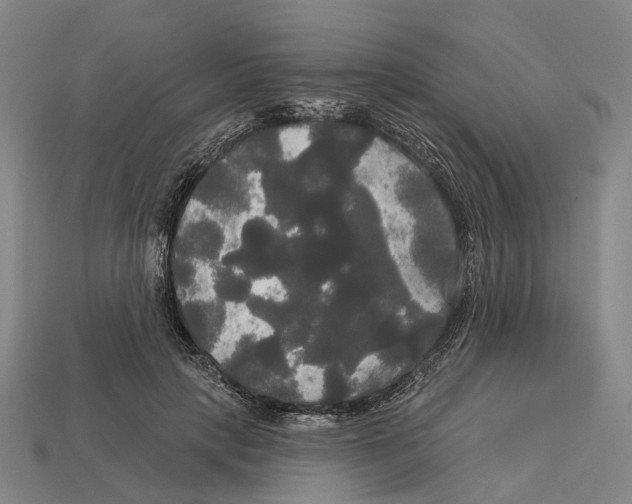 X0000113080649200909250950