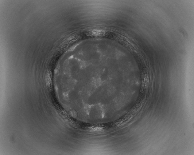 X0000113080651200909250950