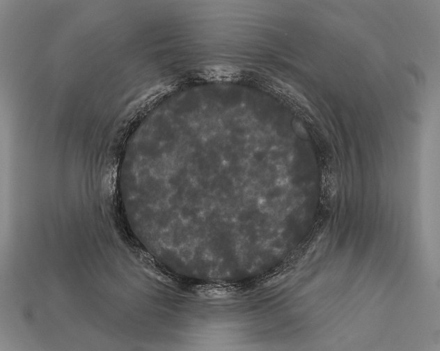 X0000113080652200909250950