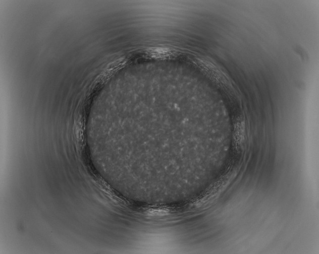 X0000113080653200909250950