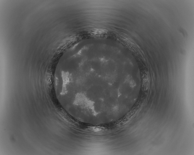 X0000113080654200909250950