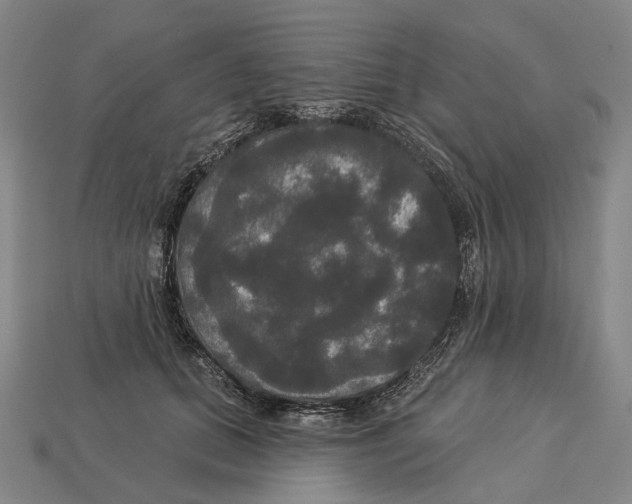 X0000113080655200909250950