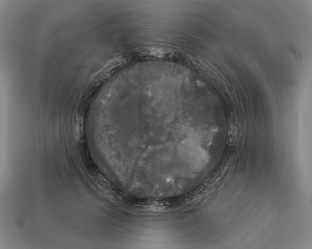 X0000113080656200909250950