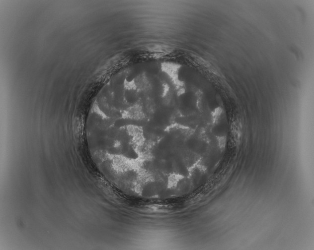X0000113080657200909250950