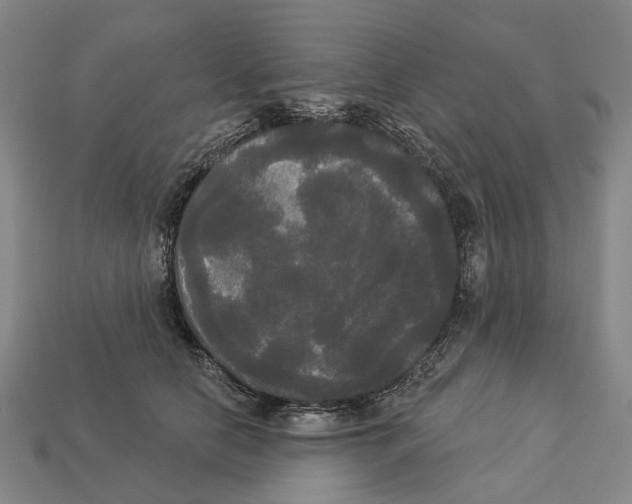 X0000113080658200909250950