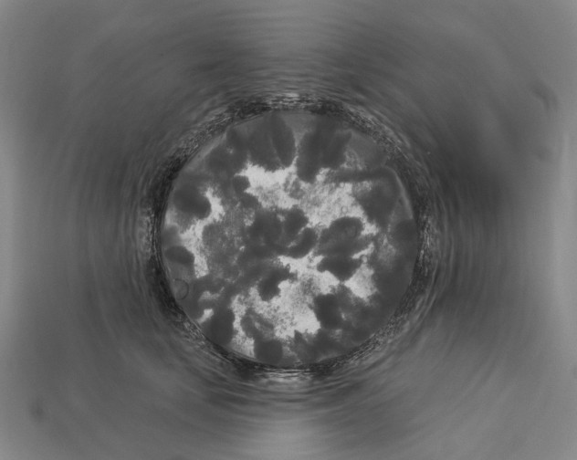 X0000113080659200909250950