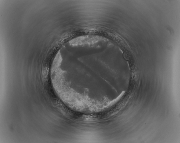 X0000113080660200909250950